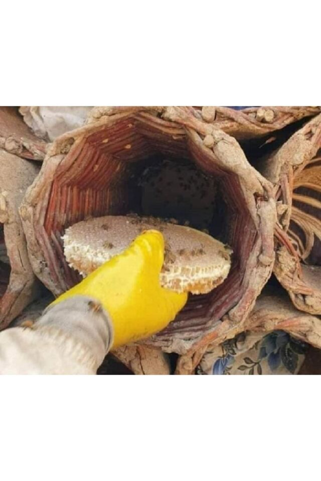 Hizan Karakovan Organik Doğal Tamamen Şekersiz Şifalı Petek Bal 1kğ